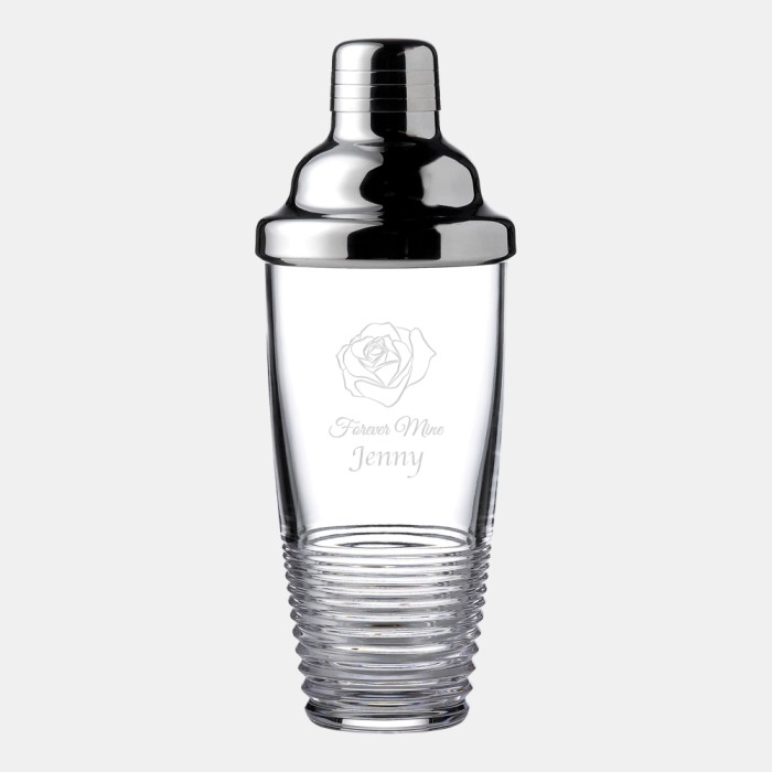 Circon Cocktail Shaker